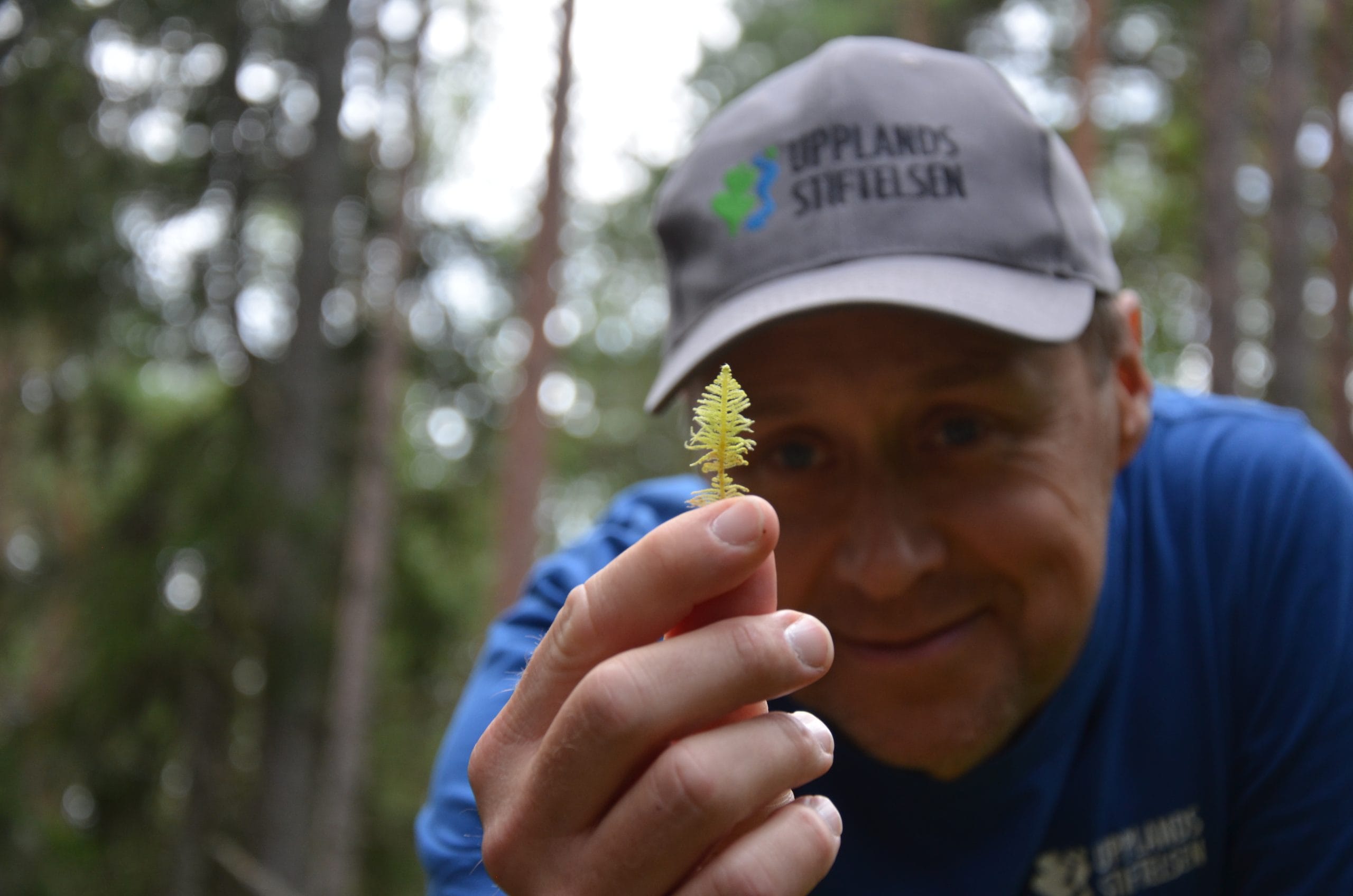 Öregrunds Golfklubb plats för blomsteräng