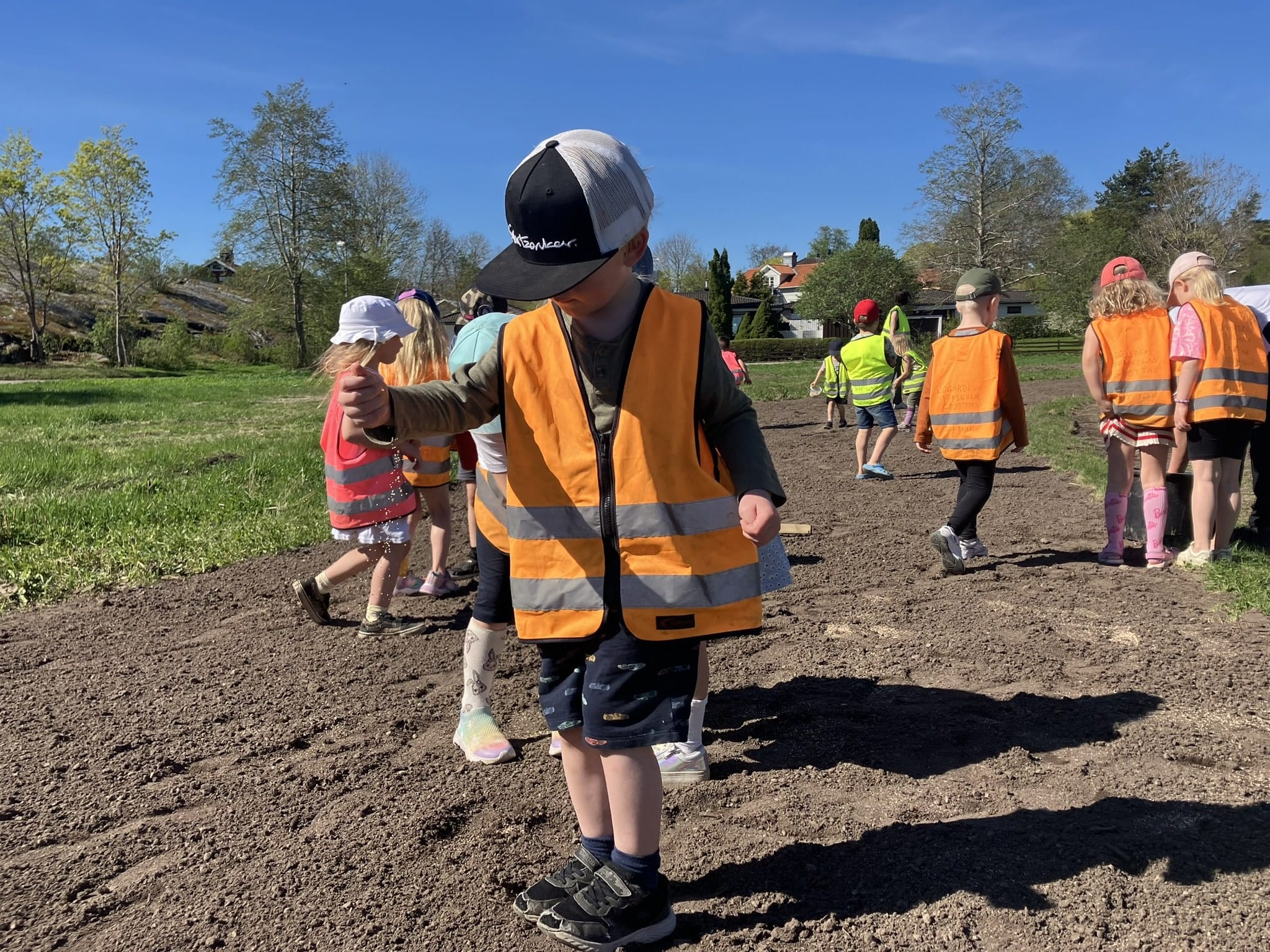 källörs stadsäng pollinerar park barn förskola frön så