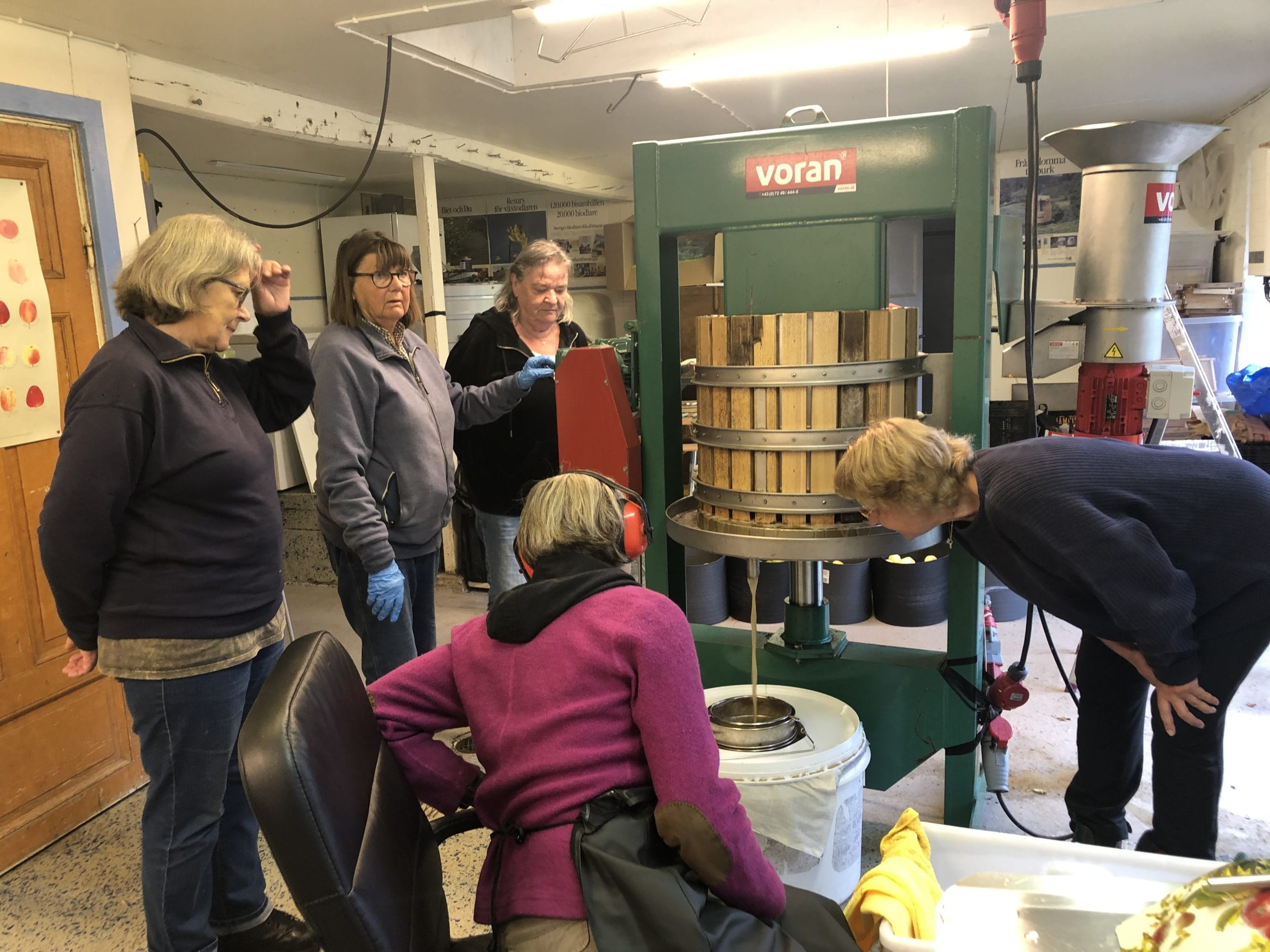 Öregrunds Golfklubb plats för blomsteräng