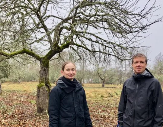 Mikael och Louise Durling i Noors äppellund, Knivsta.