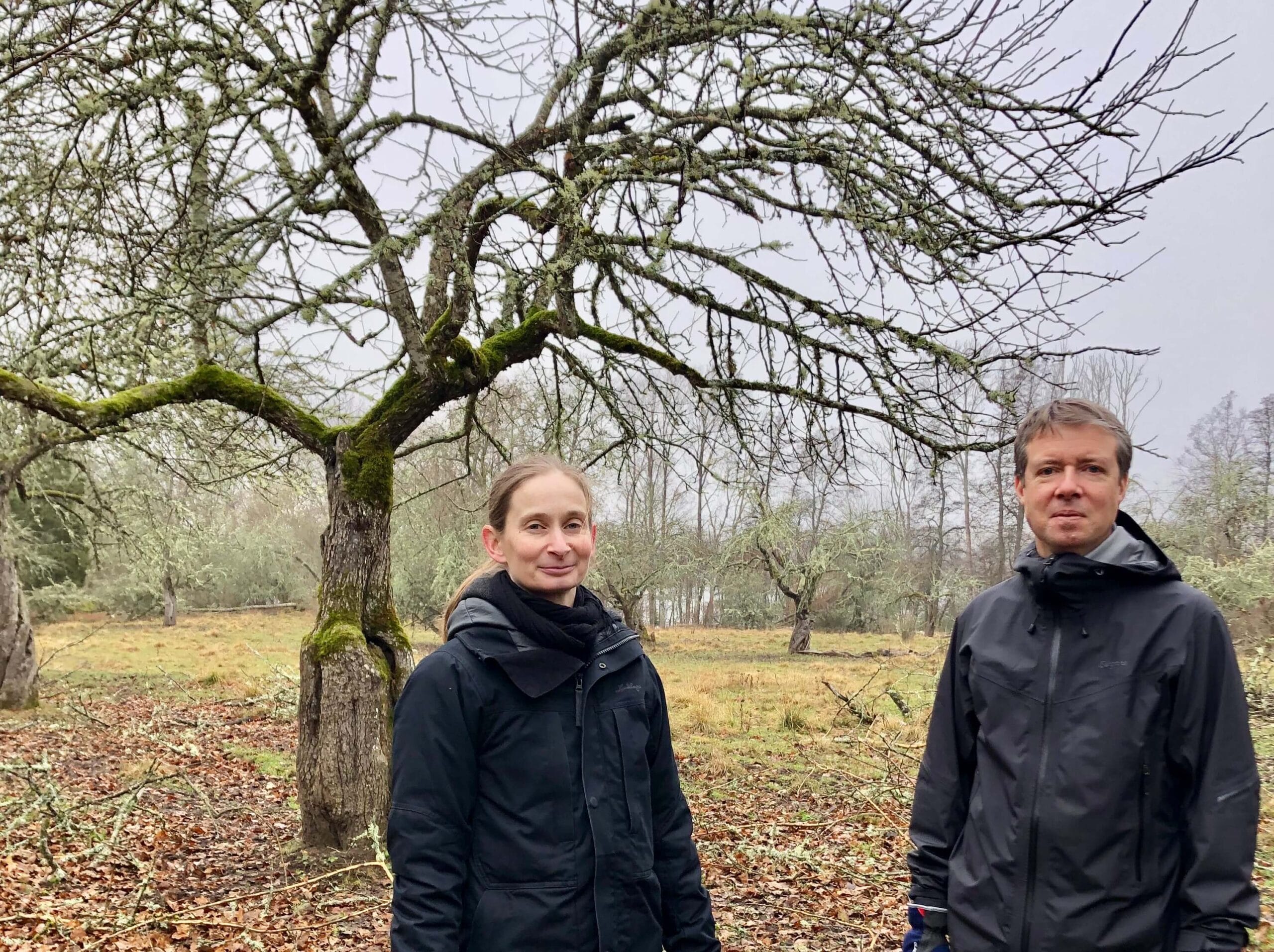 Mikael och Louise Durling i Noors äppellund, Knivsta.
