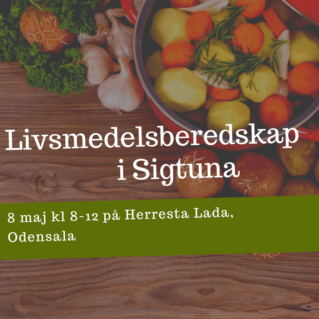 bild utan loggor sigtuna