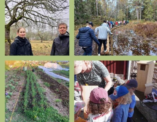 Kollage av bilder från projekt i Naturvärden i Upplandsbygd 1.0