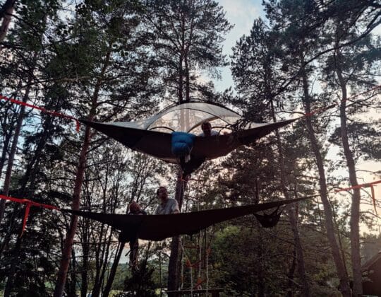 Två trädtält uppe bland träden med personer i.