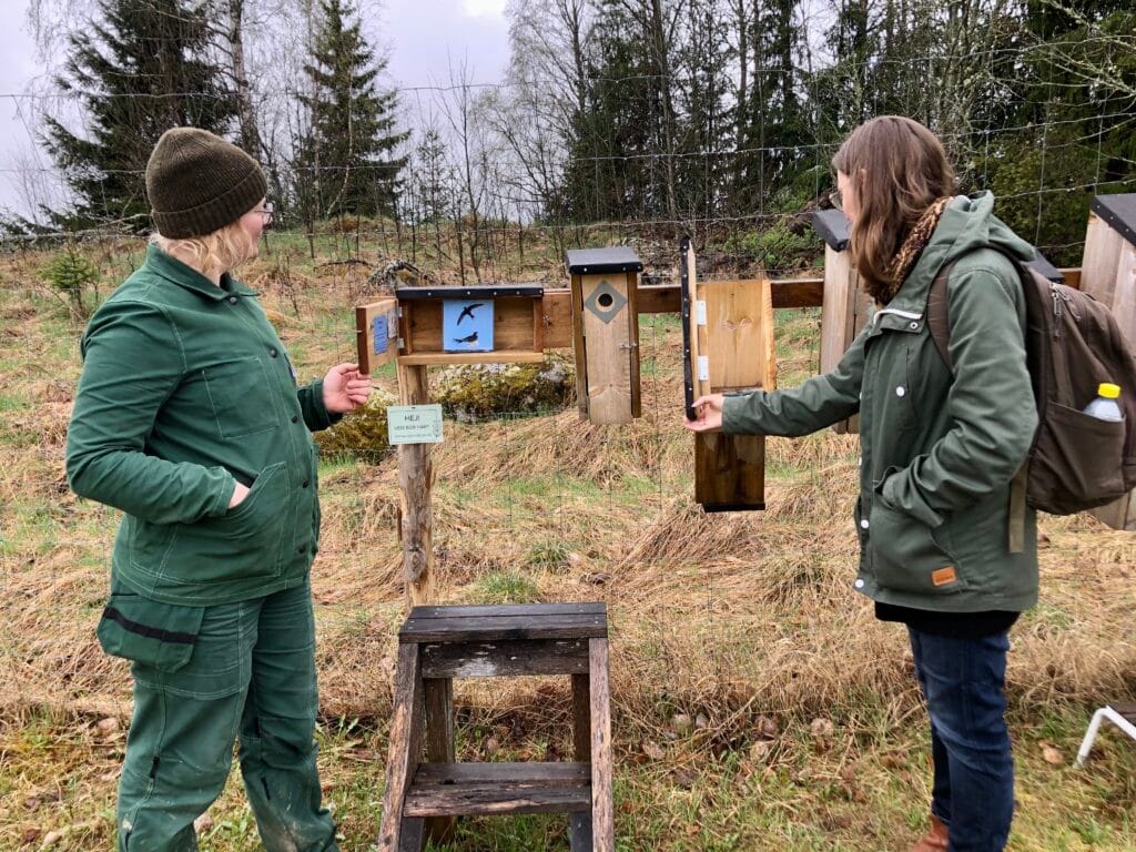 Holkar för olika fågelarter på Bobrunna gård.
