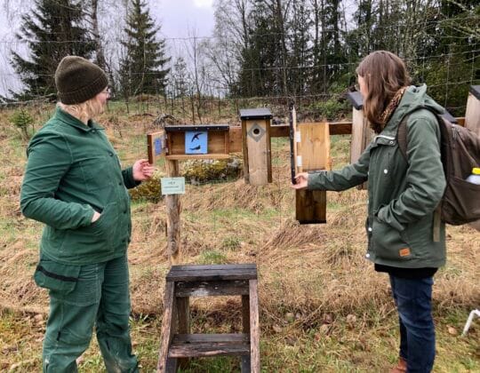 Holkar för olika fågelarter på Bobrunna gård.