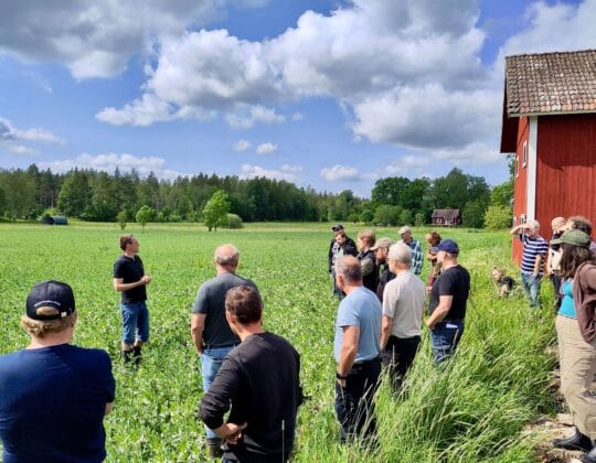 Jon Orvendal på fältvandring om ökad kolinlagring