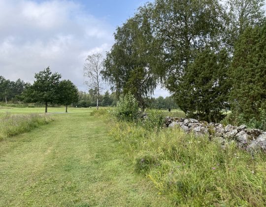 Öregrunds Golfklubb plats för blomsteräng