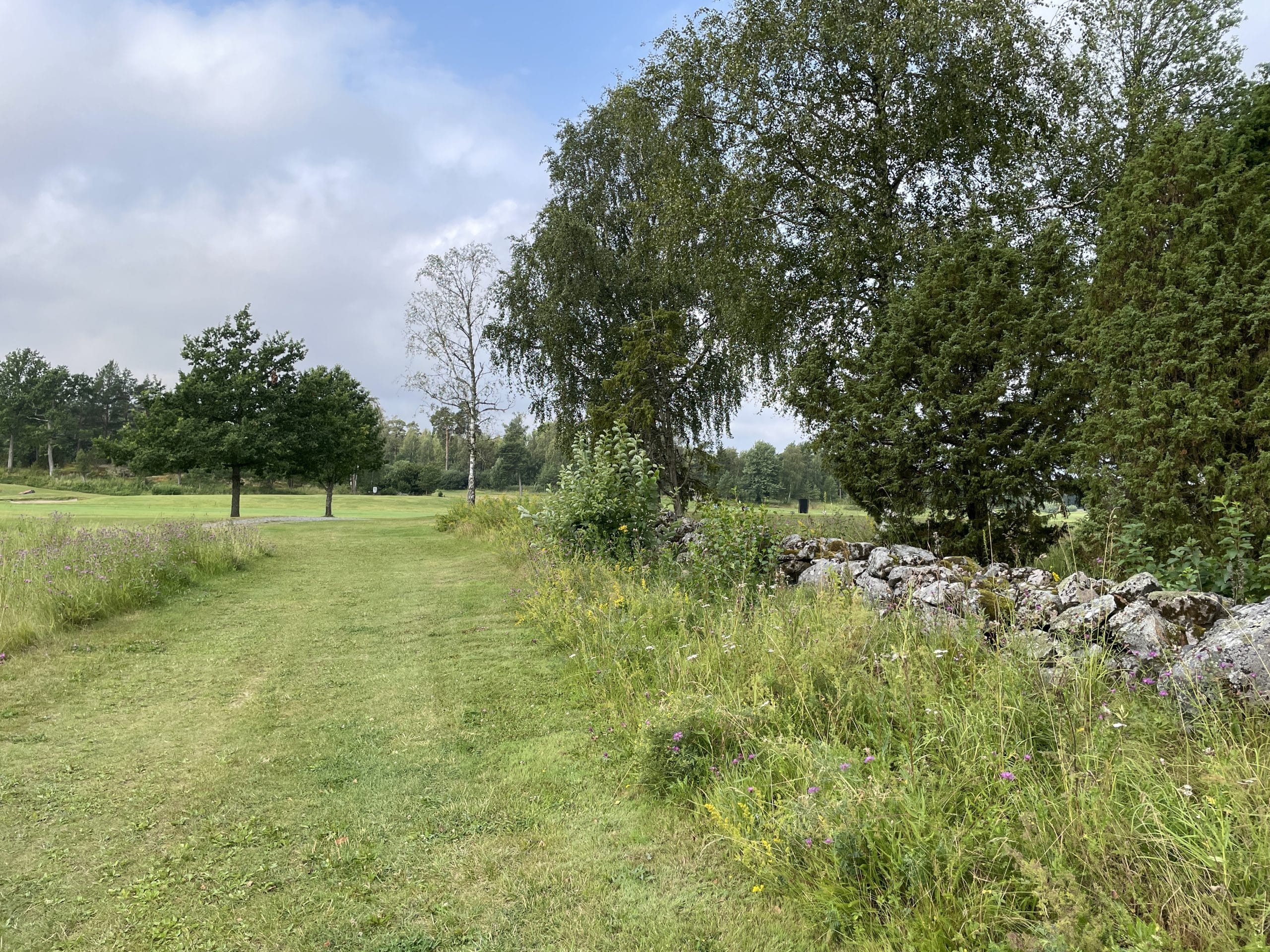 Öregrunds Golfklubb plats för blomsteräng