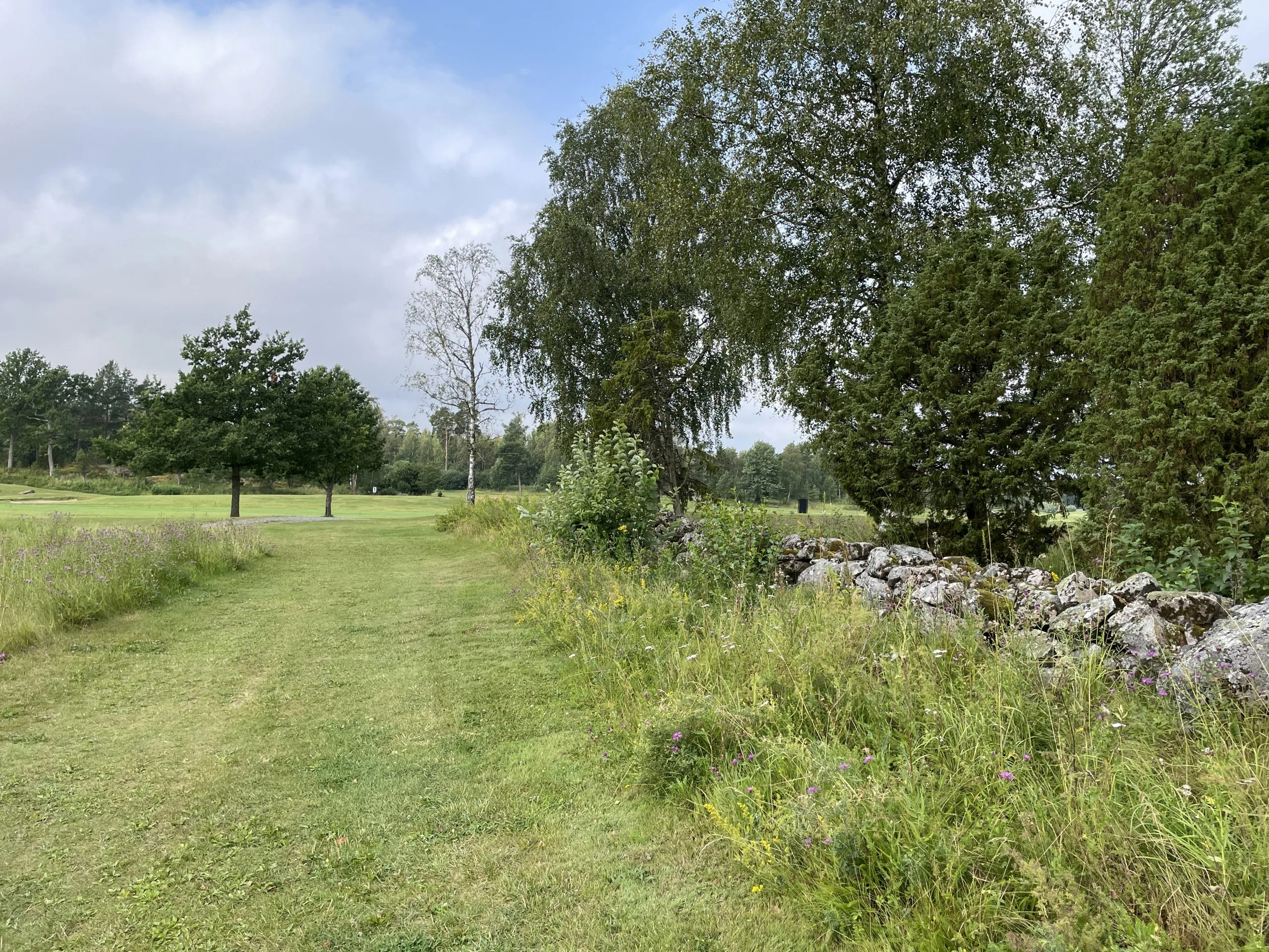 Öregrunds GK - place for flower meadow Öregrunds Golfklubb plats för blomsteräng