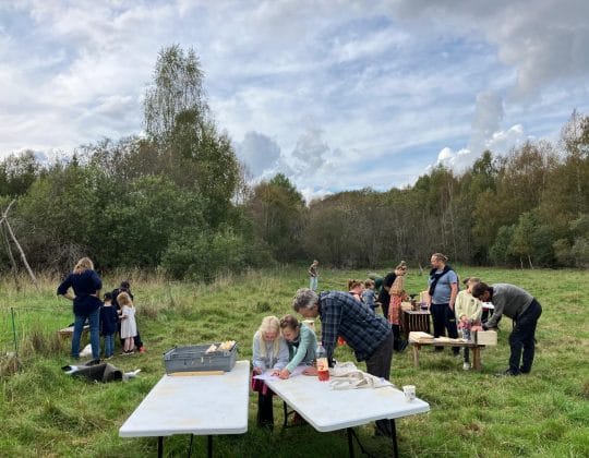 Holkbygge på platsen för skogsträdgården i Skyttorp.