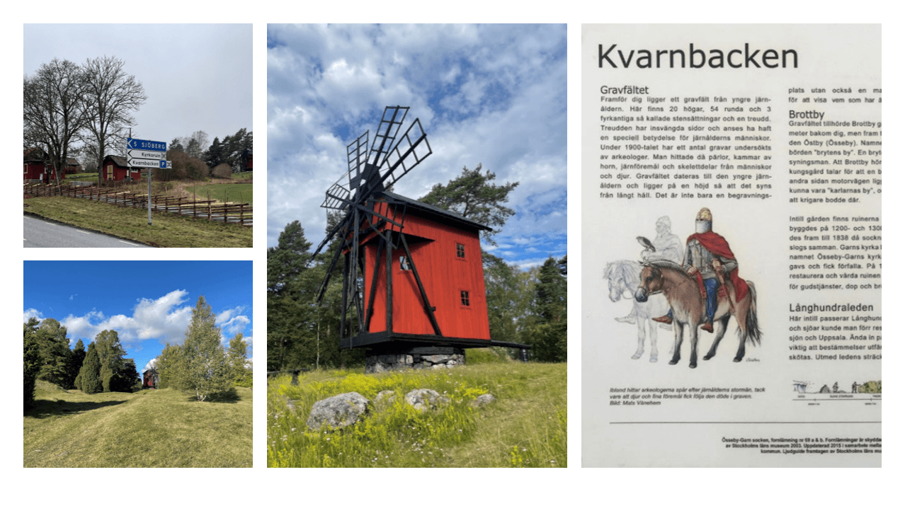 Öregrunds Golfklubb plats för blomsteräng