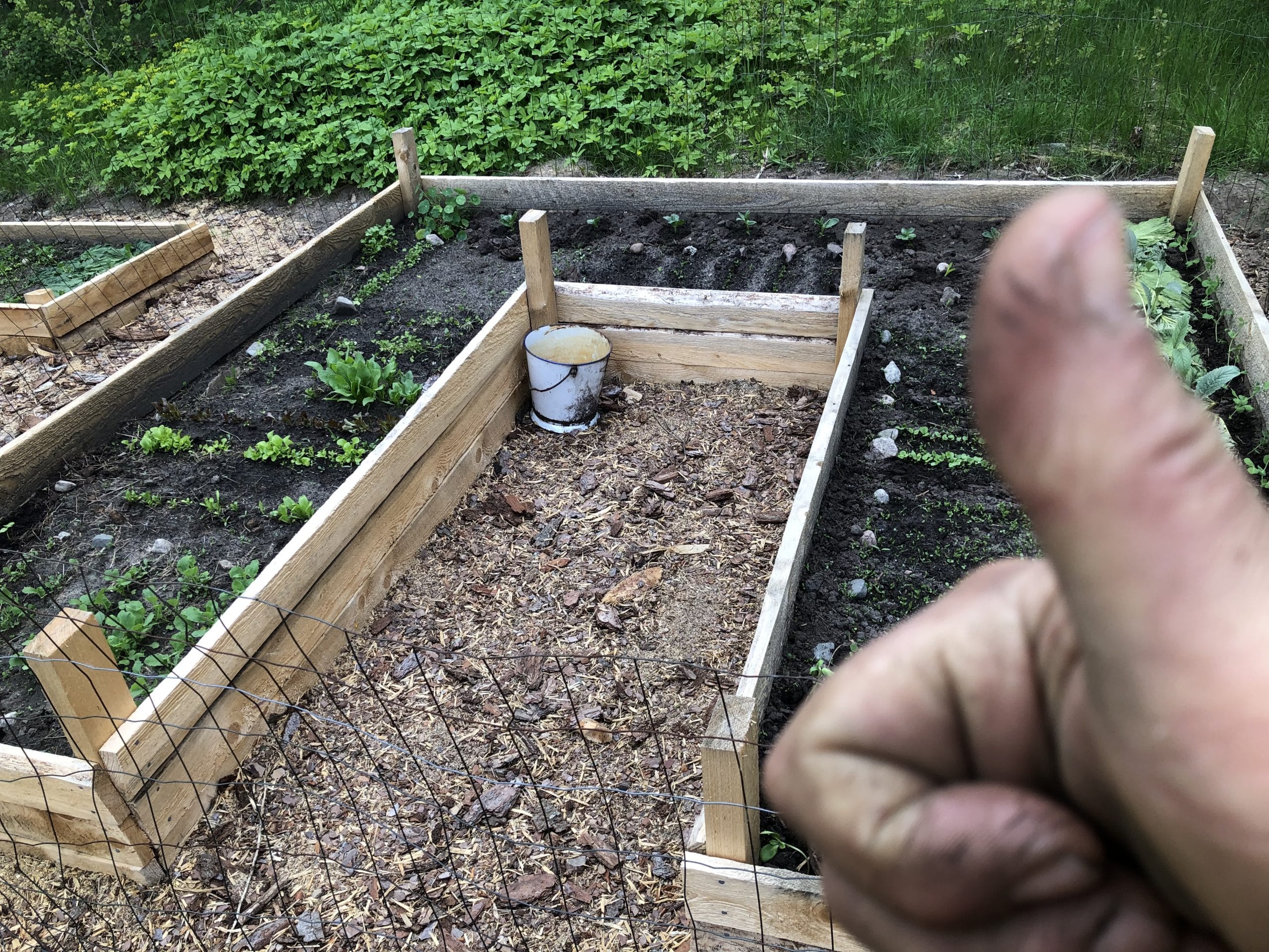 Bild på odlingsbänk från Hökeriet i Vallentuna kommun.